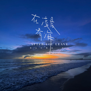 在凌晨看海 (你走后我总一个人)