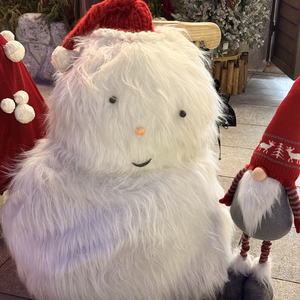 恨君不似江楼月