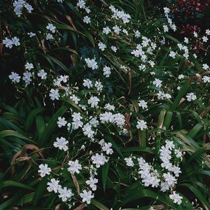 Only when you truly remember me