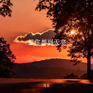想你想到天亮