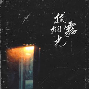 拨雾拥光——声入人心第一季两周年应援曲