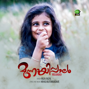 Munnayippalathinnakare
