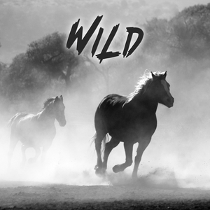 Wild