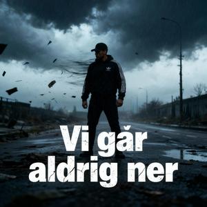 Vi går aldrig ner