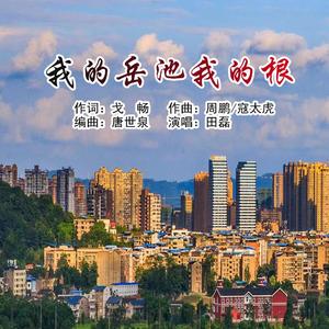 我的岳池我的根 (伴奏)
