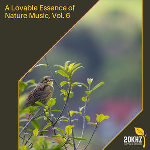 Faithful Distant Muffed Lullaby