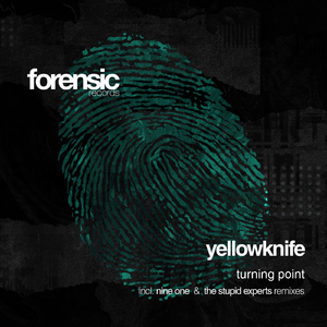 Turning Point (The Stupid Experts Remix)