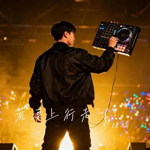 荒漠上行走 (DJ版)