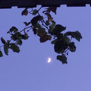 阳光正好 微风不燥