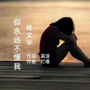 你永远是不懂我