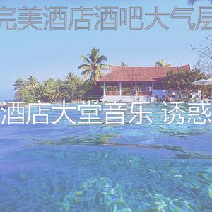 抚慰的酒店酒吧回忆