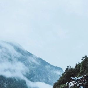 如果能与你并肩