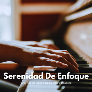 Teclados Enfocados