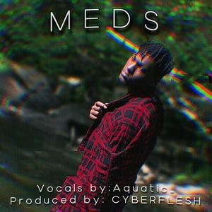 MEDS (feat. CyberFlesh)