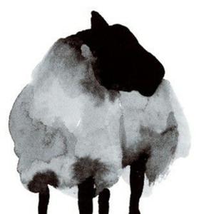 LOBOS DISFRAZADOS DE?