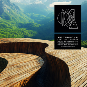 The Tide (SNYL Remix)