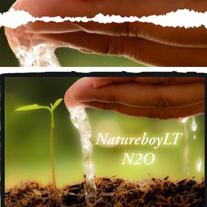 N2o