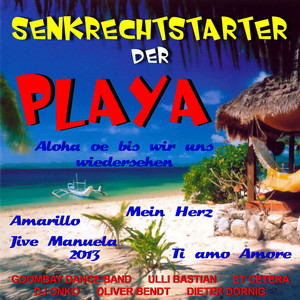 Jive Manuela (2013): Schuld war nur der Bossa Nova / Ich geh' noch zur Schule / Schneemann / Schwimmen lernt man im See / Schuld war nur der Bossa Nova