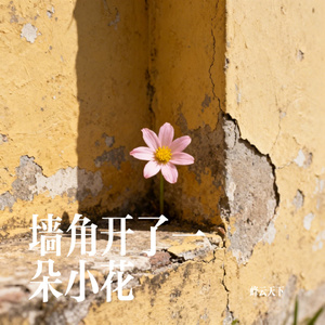 墙角开了一朵小花