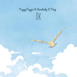 Ok (feat. Amelody & Teey)