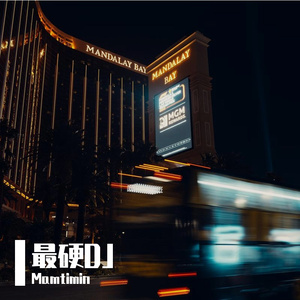 Gasolina1（汽油）