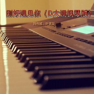 刚好遇见你（D大调钢琴版）