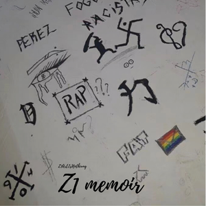 回忆录（Z1 memoir）