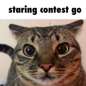 CLOWZER GETS EXECUTED IN NORTH KOREA (VERY SAD)