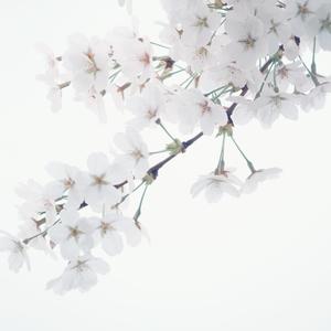 FOREVER (Areia Remix)