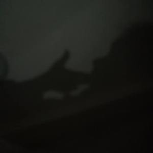 阶梯上的独舞者