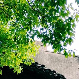 年轻的朋友来相会