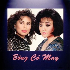 Dấu Chân Kỷ Niệm