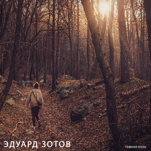 Темная ночь