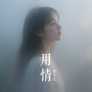 用情