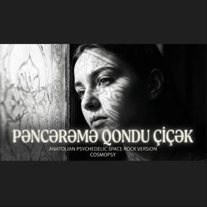 Pəncərəmə qondu çiçək (Anatolian Psychedelic Space Rock Version)