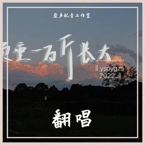 负重一万斤长大（cover-太一）
