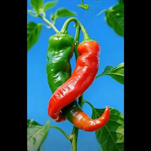 一半主张一半拥抱_内求于己