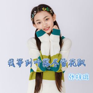 我等到叶落尽雪花飘