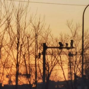 双鱼座恋爱指南.Prod by 房间里的大象