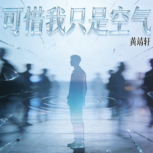 可惜我只是空气