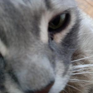 Would be better in an upswing (Remastered)