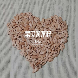 宝贝对不起（prod MEGA）