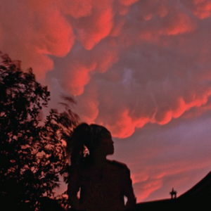 莫穿皮·母子情深  NO FUR – Every Mother Loves her Child