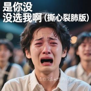 是你没选我啊 (撕心裂肺版) (Cover 吕口口)