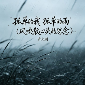 孤单的我 孤独的雨（风吹散心头的思念）