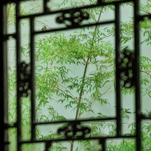 一直很安静（吉他）