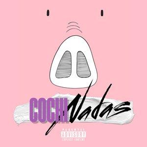 Cochinadas