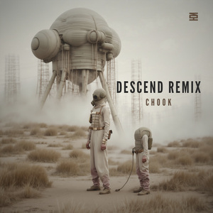 Descend (Chook remix)