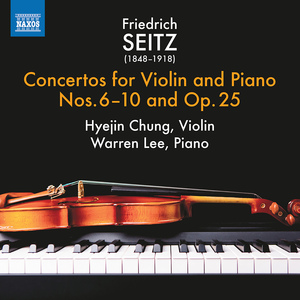 Violin Concerto No. 6 in G Major, Op. 31:II. Andante cantabile
