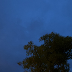 多想在平庸的生活拥抱你